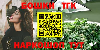 не бодяженный Камышлов