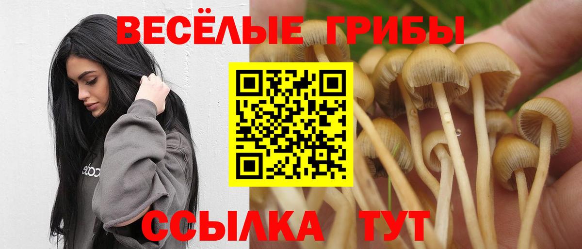 закладка  Псилоцибиновые грибы MAGIC MUSHROOMS  Вход с VPN  Якутск 